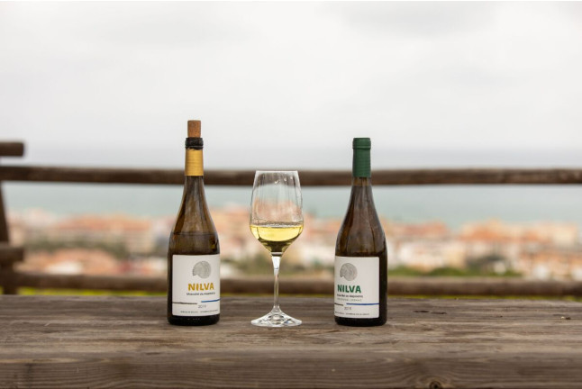 Visita a Bodega Nilva y Circuito Spa para dos en Elba Estepona Gran Hotel 5* (Málaga)