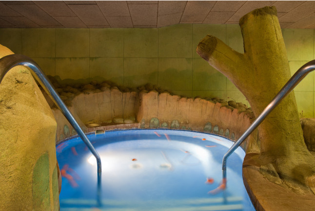 Circuito Spa para dos en Senzia Granada Spa & Wellness - Senator Granada Spa Hotel 4* (Granada)