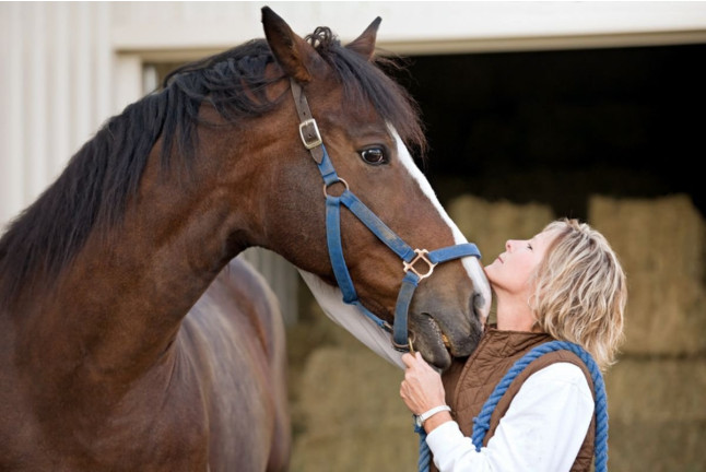 Paseo a Caballo por el Montseny con Circuito Spa y Comida en Hotel Balneario Blancafort 4* para dos (Barcelona)