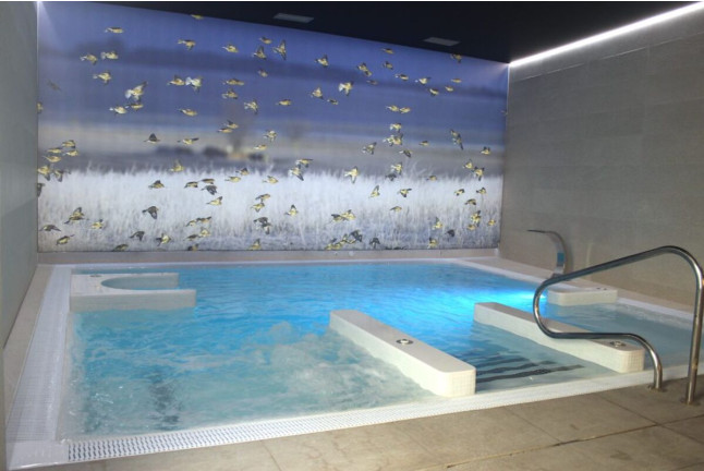 Spa Privado con Champán y Bombones para dos en Posada Real Los Condestables 4* (Zamora)