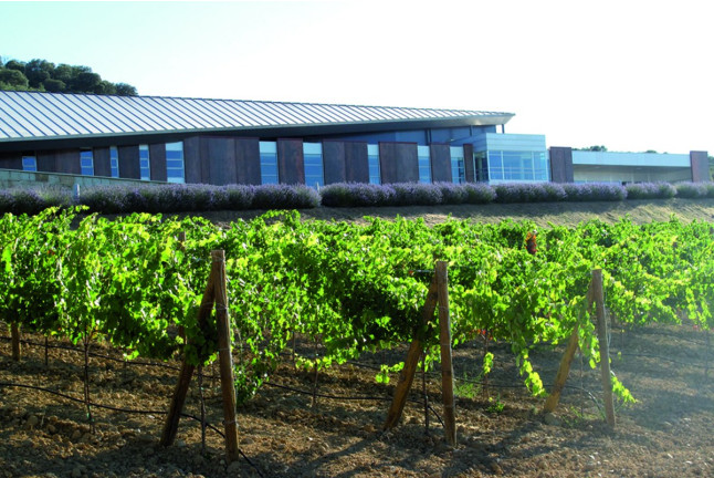 Vital Day: Wine-Spa, Tratamiento y Visita a Bodega con Cata y Degustación de Ibéricos en Valbusenda Hotel Bodega & Spa 5* (Toro, Zamora) 