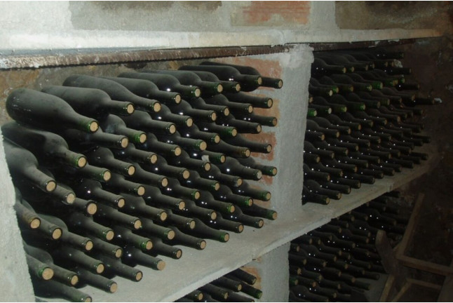 Circuito Spa en Balneario Vichy Catalan y Visita Guiada por Bodega Baronia de Vilademuls con Cata de Vinos para dos (Girona)