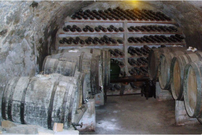 Circuito Spa en Balneario Vichy Catalan y Visita Guiada por Bodega Baronia de Vilademuls con Cata de Vinos para dos (Girona)