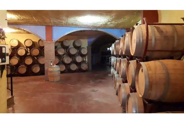 Circuito Spa y Visita a Bodega Pago de Almaraes con Cata de Vinos para dos (Granada)