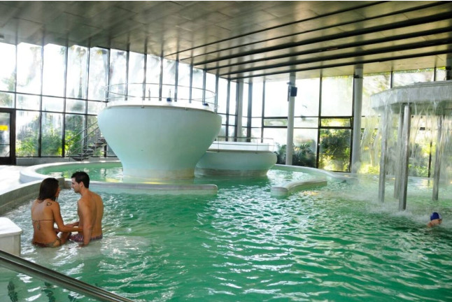 Spa "Aquatonic" en Hotel 4* y Visita a Bodega con Cata y Aperitivo para dos en Cellers Baronia del Montsant (Tarragona)