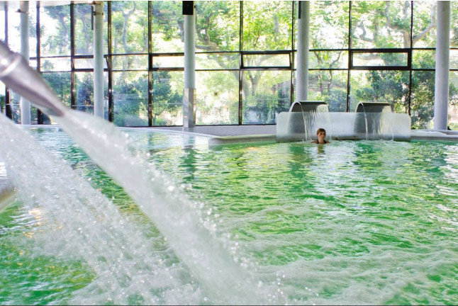 Spa "Aquatonic" en Hotel 4* y Visita a Bodega con Cata y Aperitivo para dos en Cellers Baronia del Montsant (Tarragona)