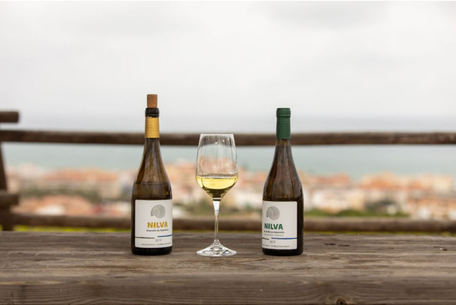 Circuito Spa en Exe Estepona Thalasso Spa 4* con Visita a Bodega Nilva y Cata de Vinos y Tapas para dos (Málaga)