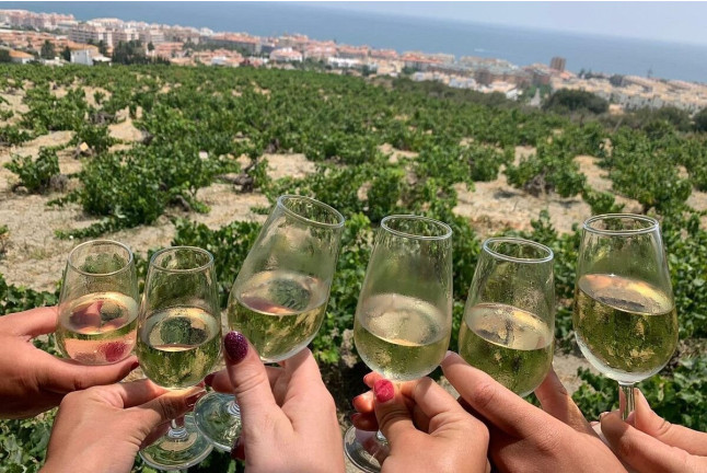 Circuito Spa en Exe Estepona Thalasso Spa 4* con Visita a Bodega Nilva y Cata de Vinos y Tapas para dos (Málaga)