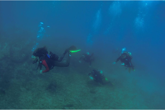 Bautizo de Buceo o Basic Diver con Fotos y Vídeos (Almería)
