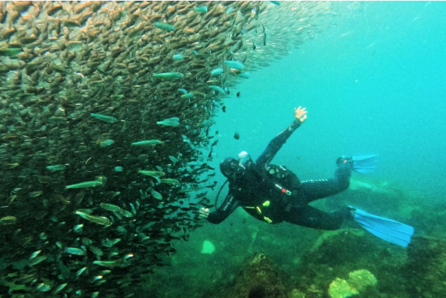 Bautizo de Buceo (Playa de Calahonda, Granada)