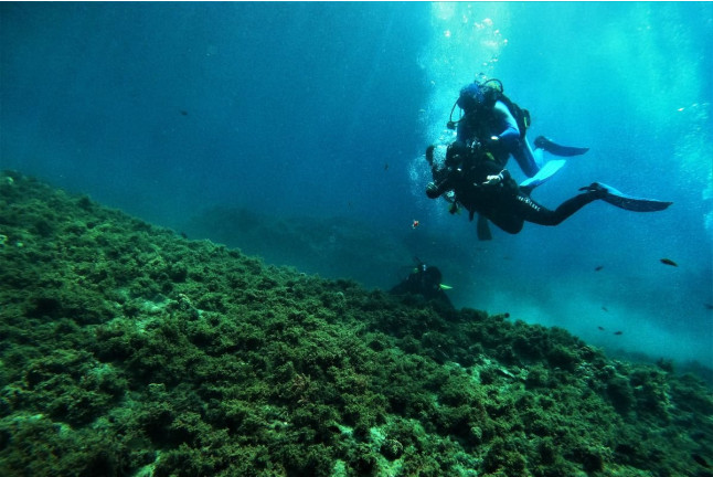 Bautizo de Buceo (Playa de Calahonda, Granada)