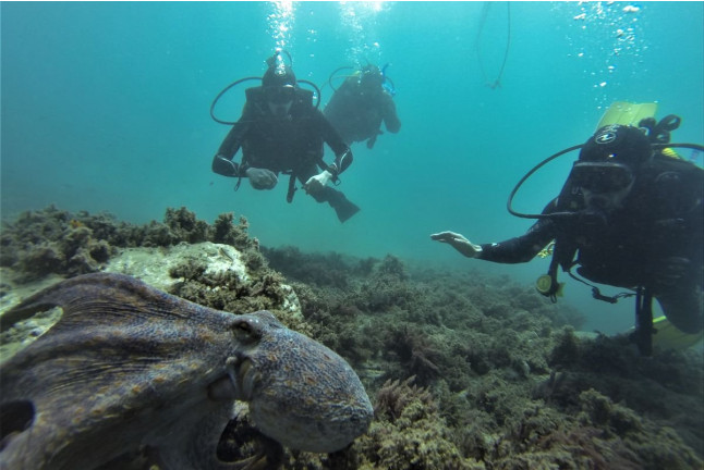 Bautizo de Buceo (Playa de Calahonda, Granada)