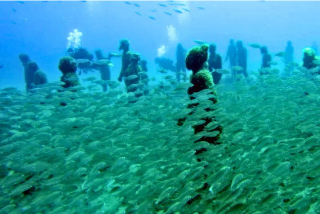 Bautismo de Buceo con Museo Submarino (Lanzarote)