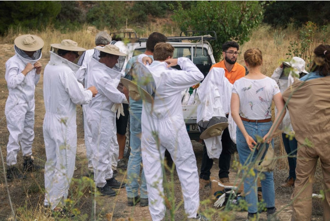 Taller de Apicultura con Degustación de Vino con Miel, AOVE Ecológico y Mieles Ecológicas para dos (Bullas, Murcia)