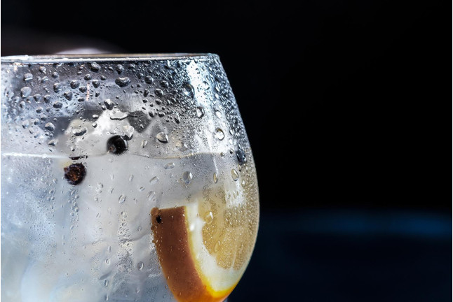 Taller y Cata de Gin Tonic Premium (Barcelona)