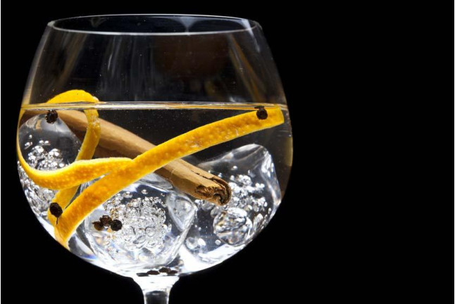 Taller y Cata de Gin Tonic Premium (Barcelona)