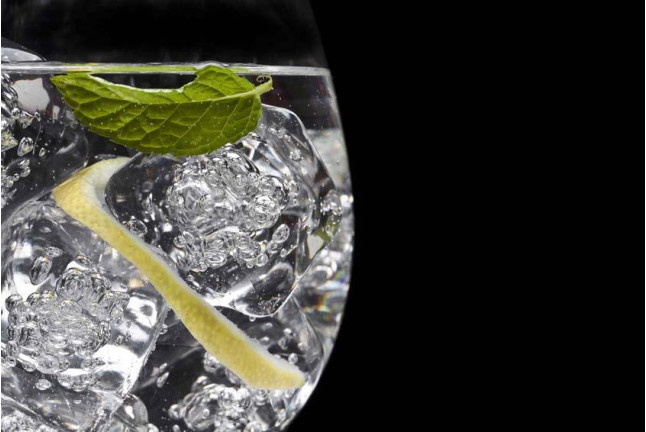 Taller y Cata de Gin Tonic Premium (Barcelona)