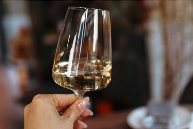 Taller de Cata de Vinos (Madrid)