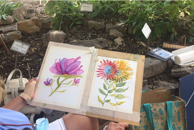 Taller de Pintura: Introducción a la Acuarela en el Jardín Botánico de Valencia (Valencia)