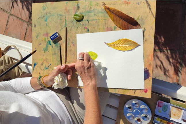 Taller de Pintura: Introducción a la Acuarela en el Jardín Botánico de Valencia (Valencia)