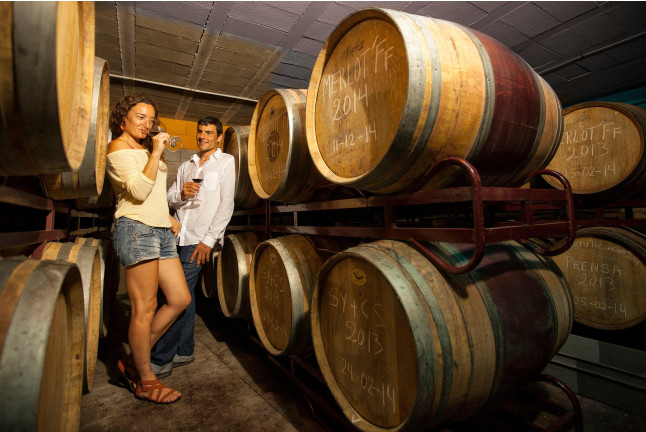 Escapada Relax con Spa "Aquatonic" en Hotel Termes de Montbrió 4*, Visita a Bodega, Cata de Vinos y Comida para dos (Tarragona)