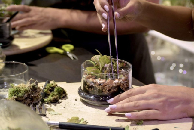 Taller de Terrarios: Crea Tu Propio Ecosistema (Barcelona)