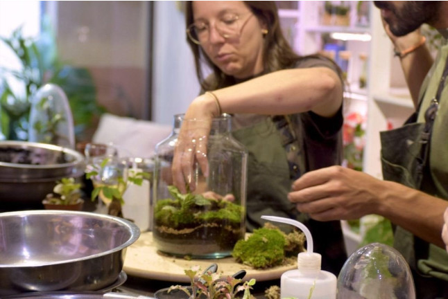 Taller de Terrarios: Crea Tu Propio Ecosistema (Barcelona)