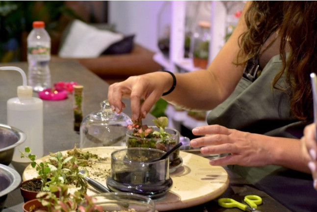 Taller de Terrarios: Crea Tu Propio Ecosistema (Barcelona)
