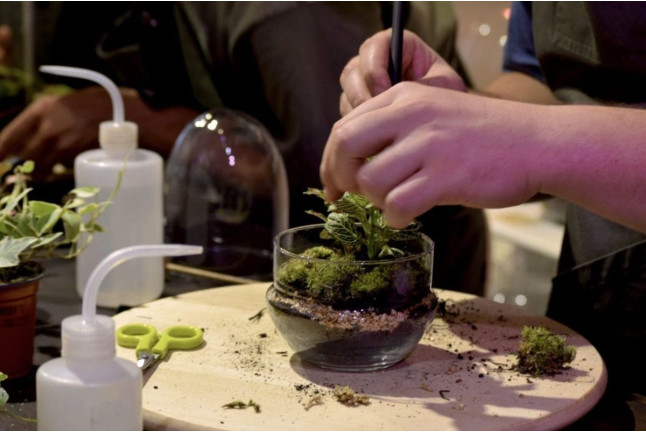 Taller de Terrarios: Crea Tu Propio Ecosistema (Barcelona)