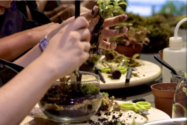 Taller de Terrarios: Crea Tu Propio Ecosistema (Barcelona)