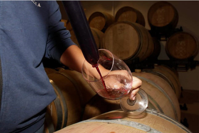 Visita y Cata de Vinos en Bodega Tesalia (Arcos de la Frontera, Cádiz)