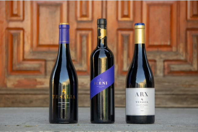 Visita y Cata de Vinos en Bodega Tesalia (Arcos de la Frontera, Cádiz)
