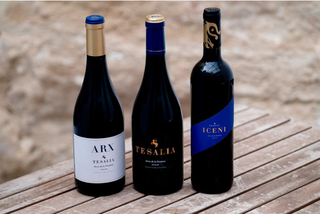 Visita y Cata de Vinos en Bodega Tesalia (Arcos de la Frontera, Cádiz)