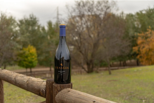 Visita y Cata de Vinos en Bodega Tesalia (Arcos de la Frontera, Cádiz)