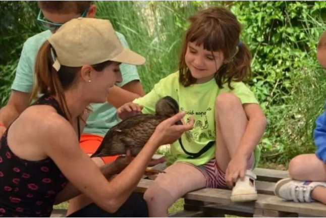 Toca Toca: Acaricia, Alimenta, Conecta y Vive Momentos Únicos con Animales (Lleida)