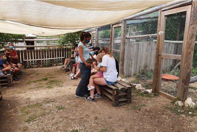 Toca Toca: Acaricia, Alimenta, Conecta y Vive Momentos Únicos con Animales (Lleida)