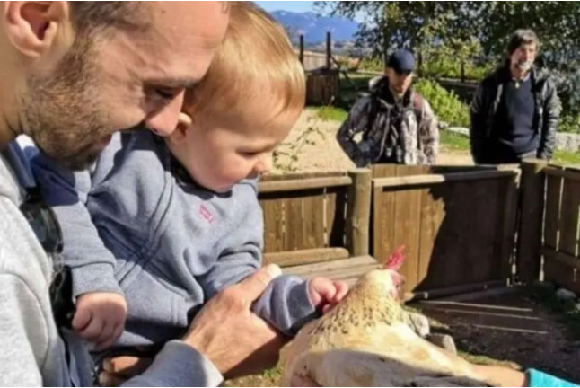 Toca Toca: Acaricia, Alimenta, Conecta y Vive Momentos Únicos con Animales (Lleida)