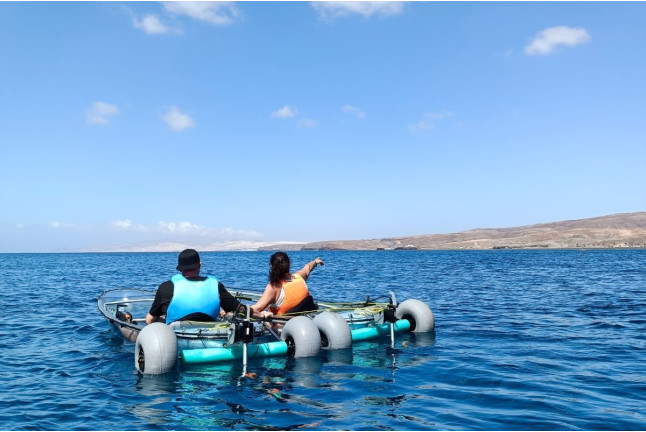 Nautical Premium Tour: Salida en Kayak Transparente Eléctrico (Fuerteventura)