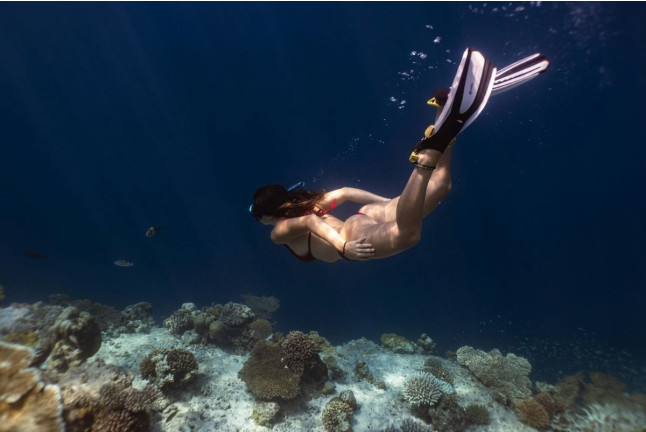 Tour de Snorkel (Fuencaliente de La Palma, Los Canarios)