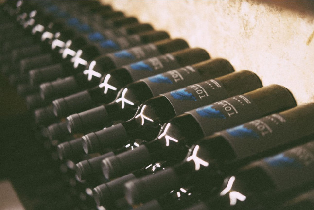 Visita a Tovar Bodega de Bodegas con Cata de Vinos y Aperitivo para dos (Trigueros del Valle, Valladolid)