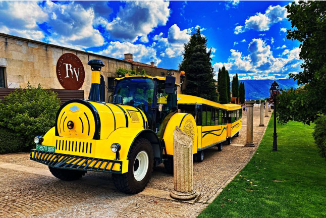 Tour en tren Turístico Aba Sacra y Visita guiada con Cata de vinos para dos en Bodegas Regina Viarum (Lugo)