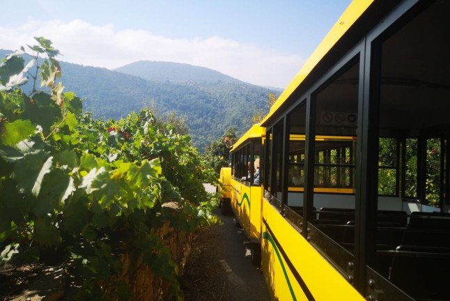 Tour en tren Turístico Aba Sacra y Visita guiada con Cata de vinos para dos en Bodegas Regina Viarum (Lugo)