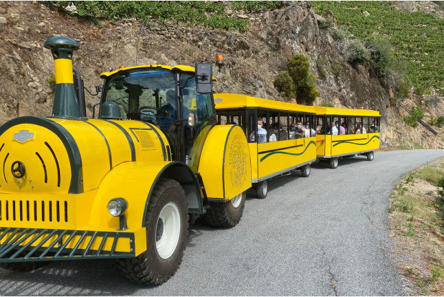 Tour en tren Turístico Aba Sacra y Visita guiada con Cata de vinos para dos en Bodegas Regina Viarum (Lugo)
