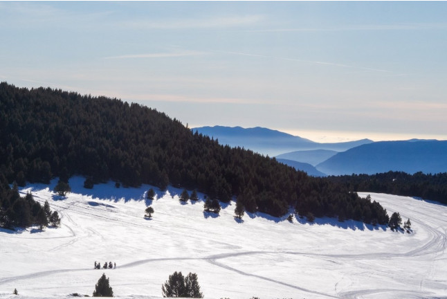 Ruta en trineo: Trineu Tour Aventura (Sant Julià de Lòria, Andorra)