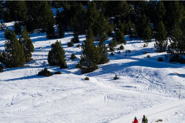 Ruta en trineo: Trineu Tour Aventura (Sant Julià de Lòria, Andorra)