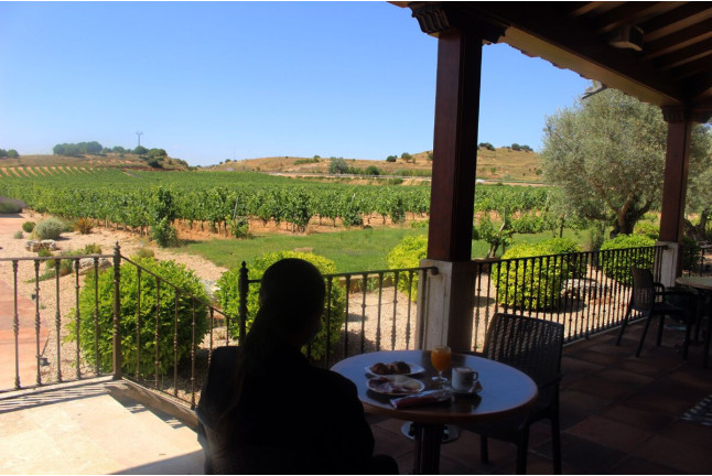 Escapada con Visita a Bodega en Hotel Spa Tudanca Aranda 4* (Aranda de Duero, Burgos)