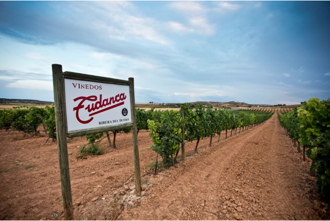 Escapada con Visita a Bodega en Hotel Spa Tudanca Aranda 4* (Aranda de Duero, Burgos)