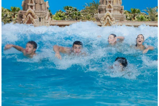 Twin Ticket: Entrada Loro Parque y Siam Park (Tenerife)