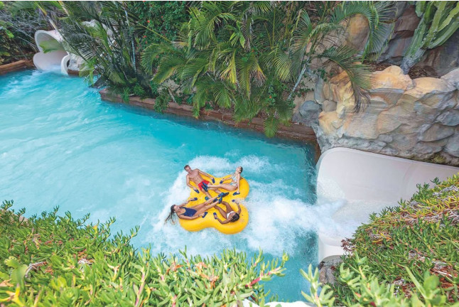 Twin Ticket: Entrada Loro Parque y Siam Park (Tenerife)