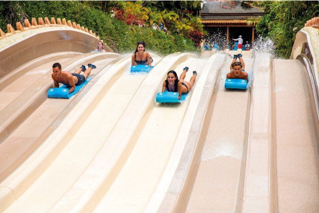 Twin Ticket: Entrada Loro Parque y Siam Park (Tenerife)